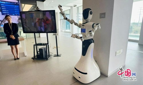 中外媒體浙江行 沉浸式見證中國數智發展的浙江答卷